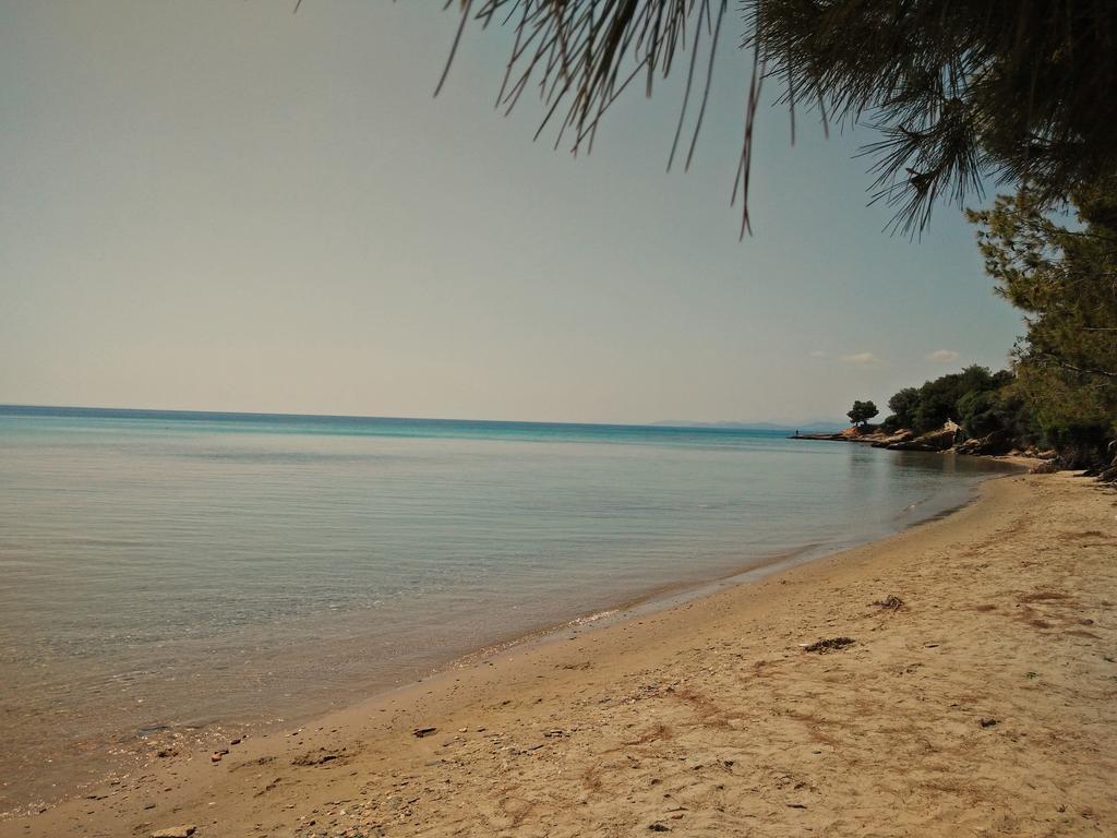 Moriel Seaside Homes Suites إيليا المظهر الخارجي الصورة